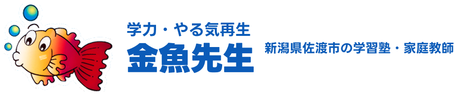 金魚先生